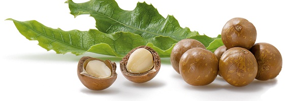 Mua hạt Macca ở đâu tại Hà Nội