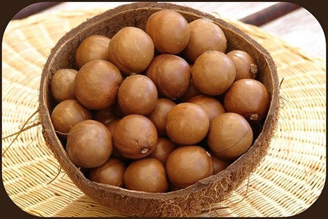 Hạt mắc ca vì sao giá đắt hơn cả cá hồi?