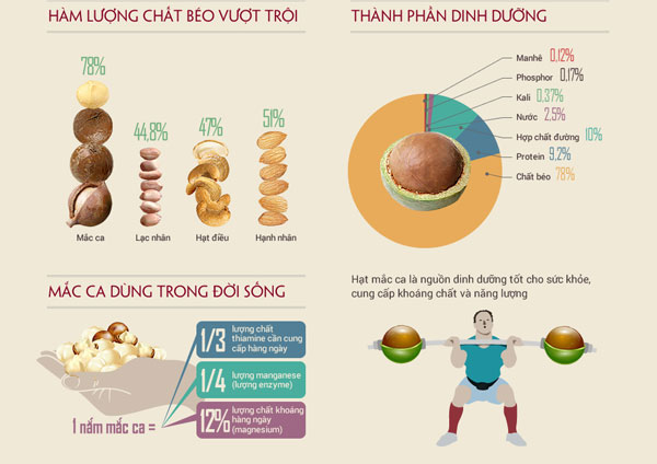 Hạt Macca, vì sao được gọi là cây tỷ đô