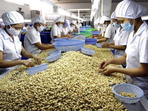 QUY CHUẨN QUỐC GIA VỀ CƠ SỞ CHẾ BIẾN HẠT ĐIỀU ĐẠT TIÊU CHUẨN VSATTP