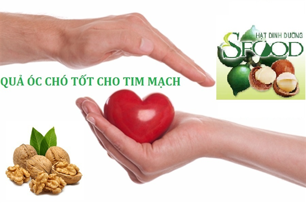 Thêm những kết luận nghiên cứu của Mỹ về quả óc chó