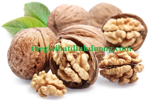  Thêm những nghiên cứu cho thấy tác dụng của một số loại hạt chứa chất chống ô xi hóa